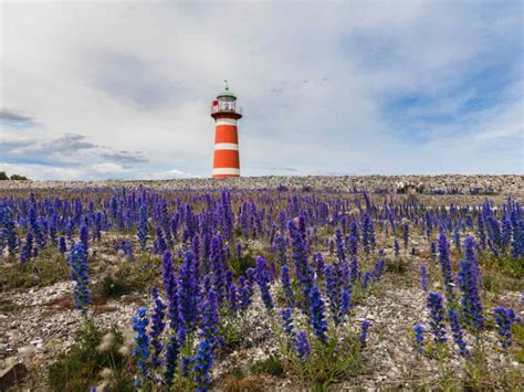 fyrar på gotland|Utforska Gotlands fyrar En guide för besökare